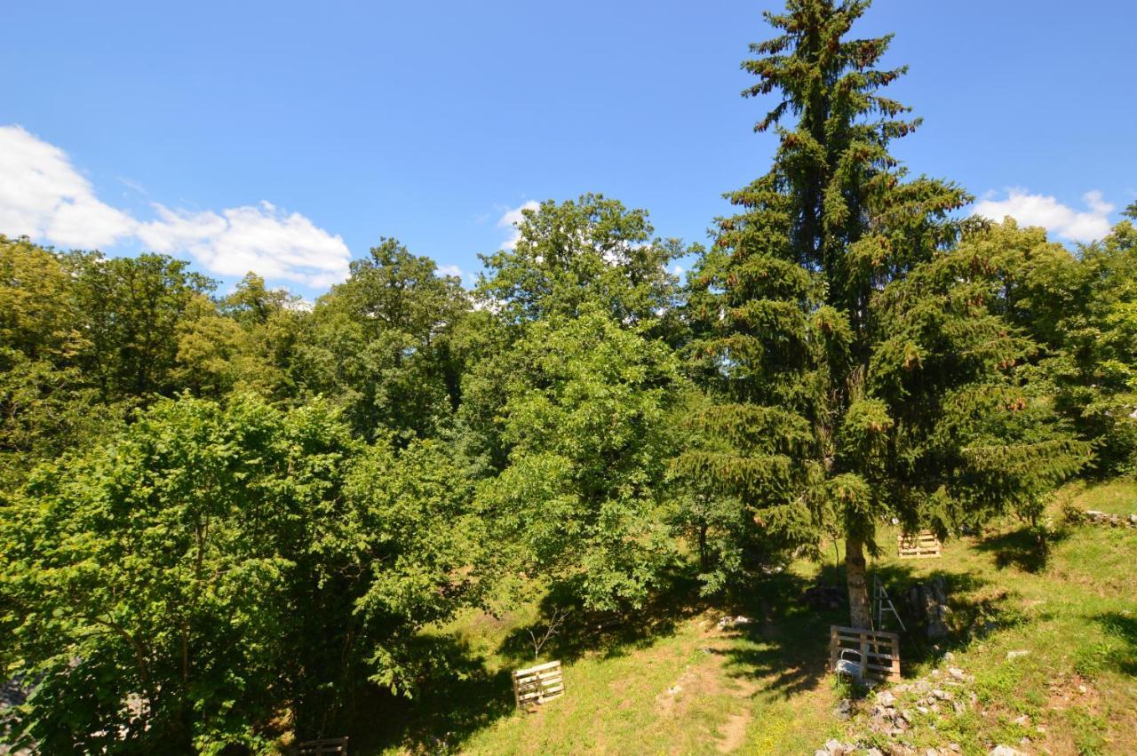 Haus Natura Jurdani Dış mekan fotoğraf