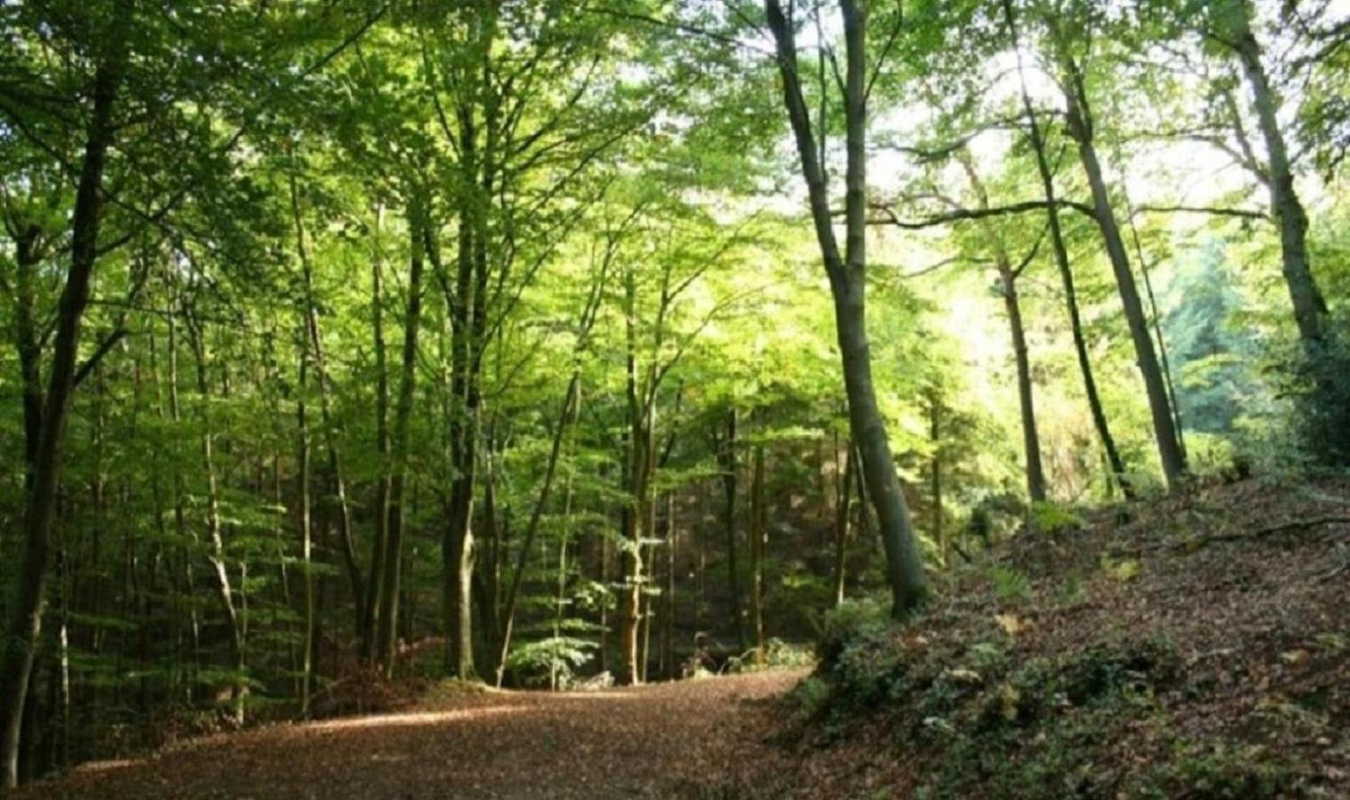 Haus Natura Jurdani Dış mekan fotoğraf